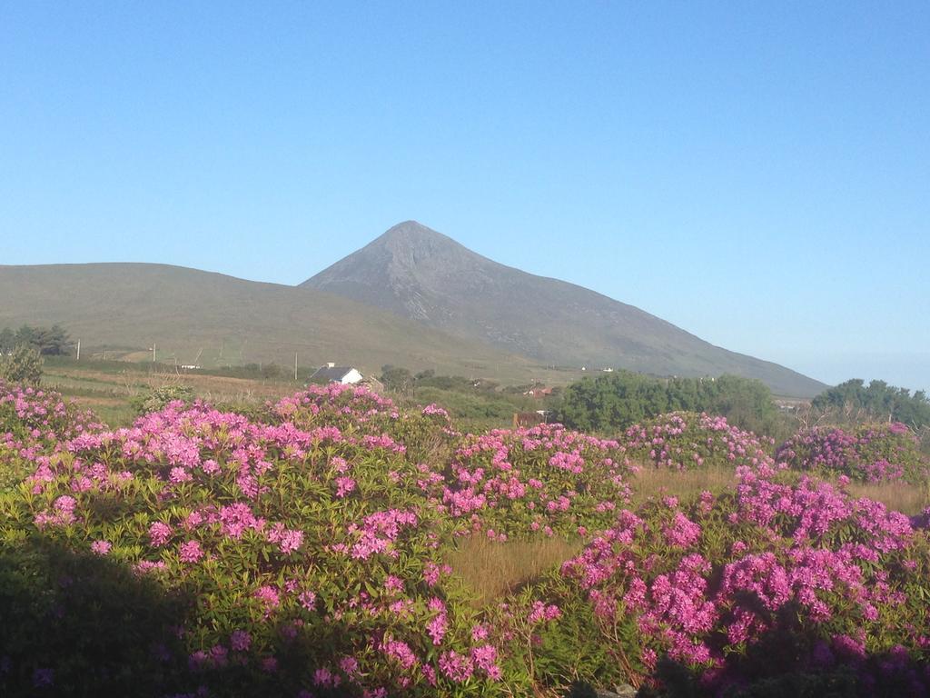 Bed and Breakfast Achill Water'S Edge Doogort Zewnętrze zdjęcie